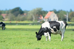 Nederlands 3F